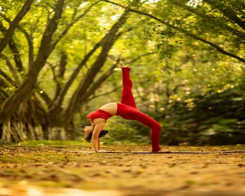 天津户籍人员办理流动人口婚育证明条件解析