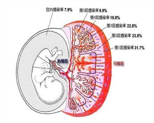 南京试管婴儿真实经历_南京胚胎移植