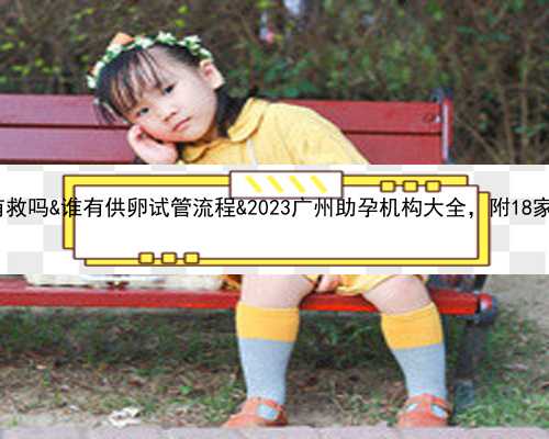 25岁没有卵泡还有救吗&谁有供卵试管流程&2023广州助孕机构大全，附18家医院4家